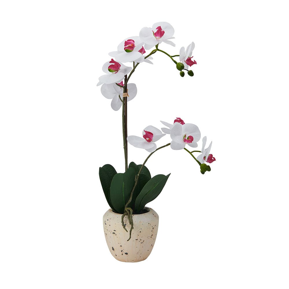 22-inch-faux-orchid-in-rustic-pot-white-and-pink_5291144_1